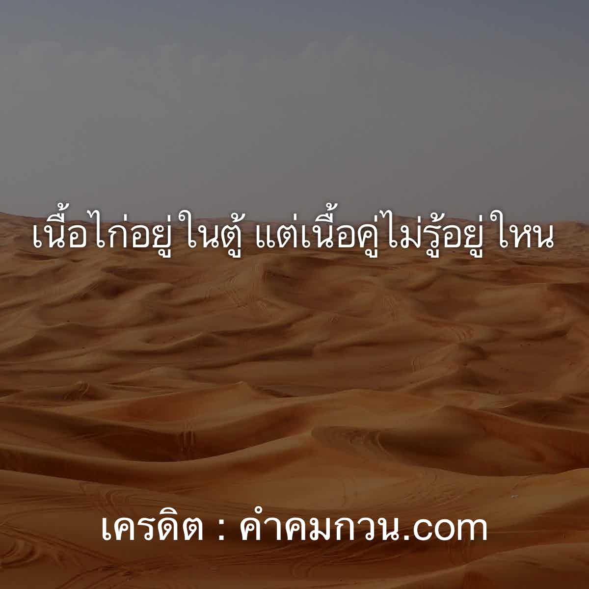 ใหม่ 145 คนโสด เนื้อไก่อยู่ในตู้ แต่เนื้อคู่ไม่รู้อยู่ใหน – คนโสด